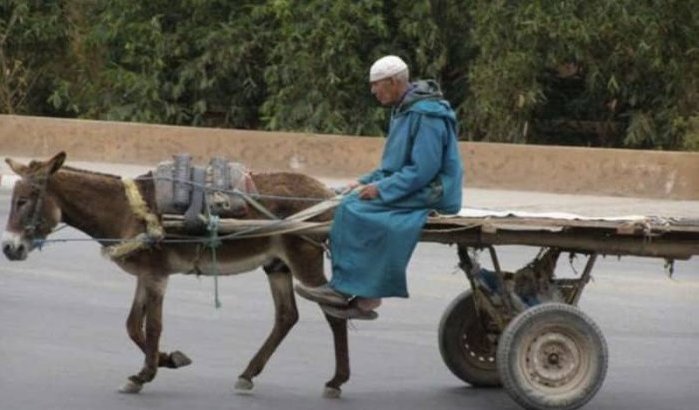 Trekkarren niet meer welkom in Casablanca