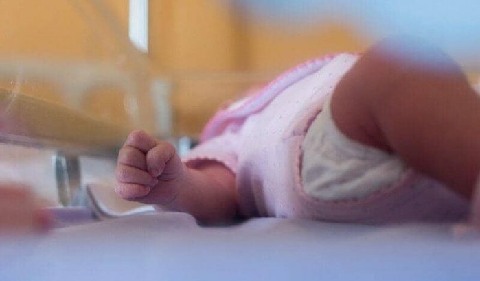 Moroccan bij de beste voorspellingen voor babynamen in 2023