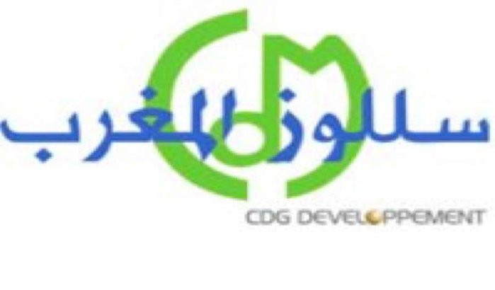 Saudi Paper neemt Cellulose Marokko over