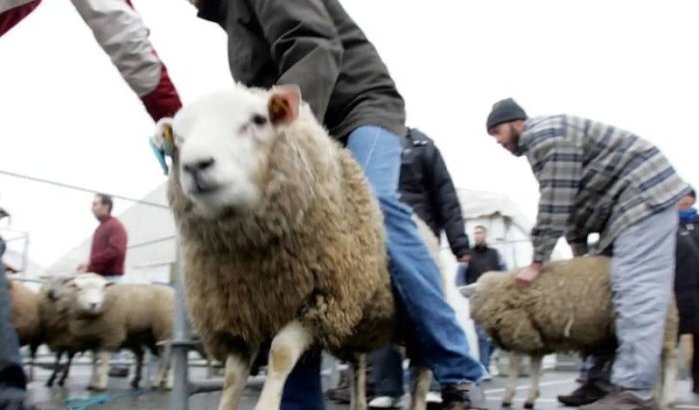 Belgische moslims vieren Eid ul-Adha op 9 juli