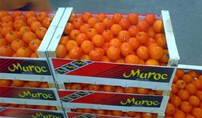 Marokko is belangrijkste leverancier van groenten en fruit aan Spanje