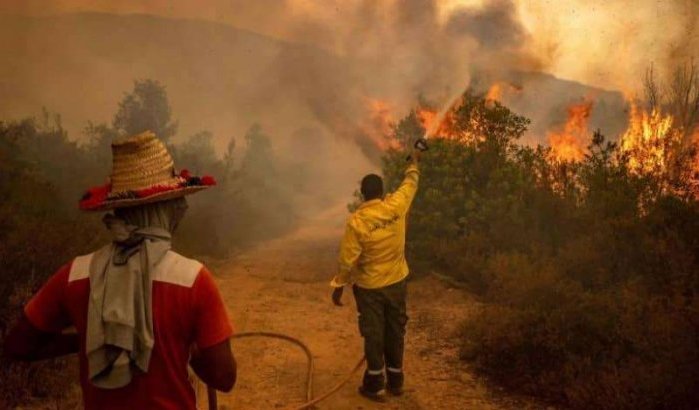 Dode en zwaargewonde bij bosbrand in Noord-Marokko