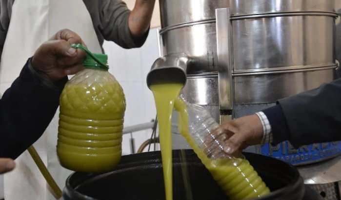 Marokkaan betaalt zich blauw aan olijfolie