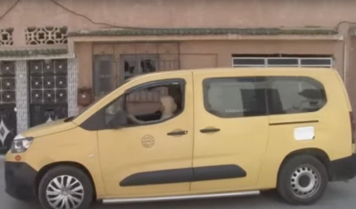 Marokkaanse vrouw trotseert vooroordelen achter het stuur (video)