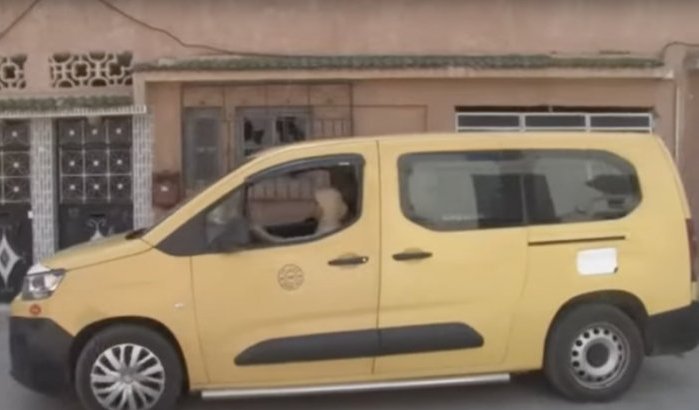 Marokkaanse vrouw trotseert vooroordelen achter het stuur (video)