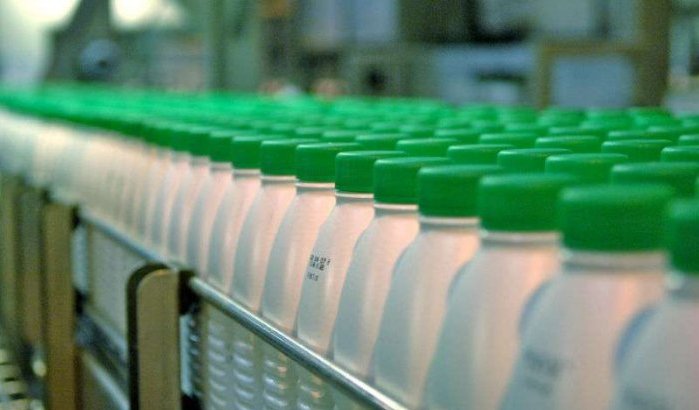Minister en miljardair Aziz Akhannouch belooft melkfabriek en fruitplantage in Al Hoceima