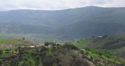 Aknoul