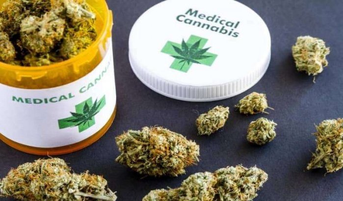 Medicinale cannabis wordt belangrijkste exportproduct van Marokko