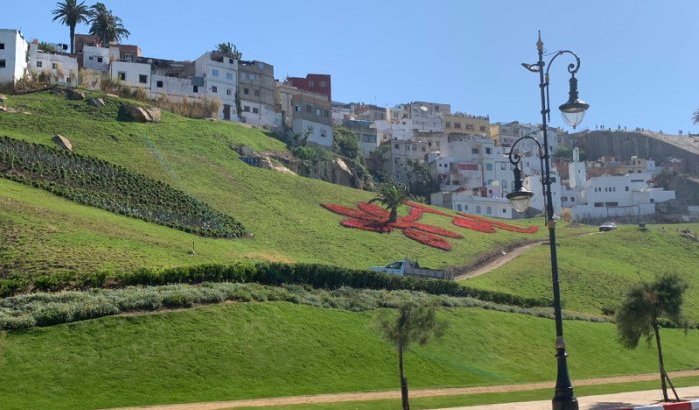 Dronken politieke leider veroorzaakt zwaar ongeval in Tetouan