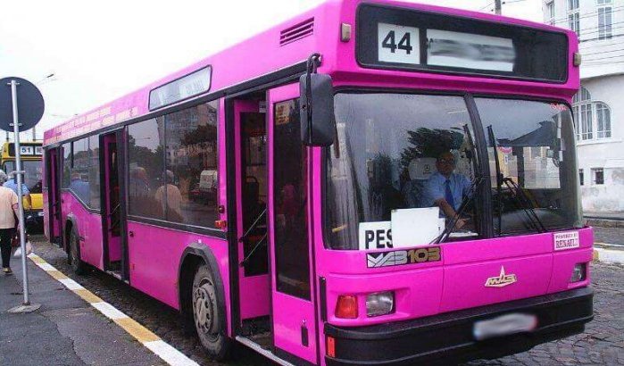 Marokko: roze bussen speciaal voor vrouwen in Rabat?