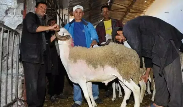 Marokko: datum Eid ul-Adha 2024 bekend