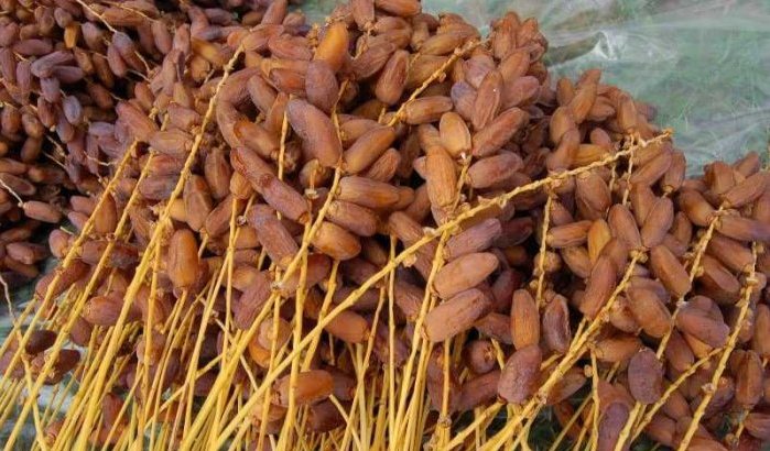 Algerijnse dadels kankerverwekkend? Marokkaanse federatie voor consumentenrechten reageert