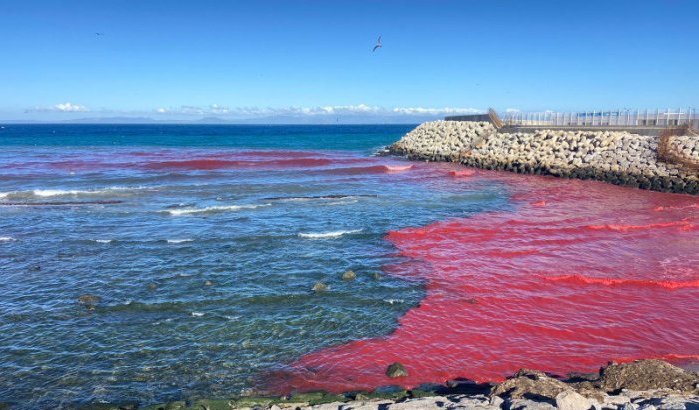 Zeewater in Tanger plots rood, autoriteiten reageren (video)