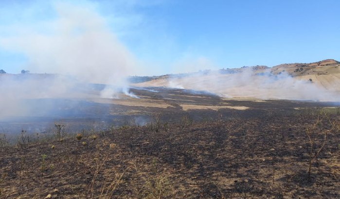 Brand in Tanger: 10 hectare bos verwoest (video)