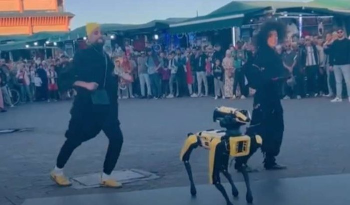 Dansende robothond op Djemaa el-Fna plein (video)