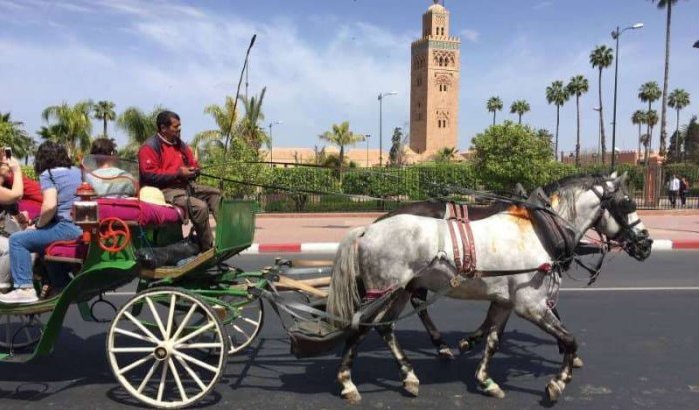 Marrakesh in race voor beste vakantiebestemming 2020
