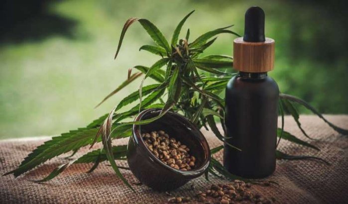 Cosmetica op basis van cannabis, een nog onbekende business opportunity in Marokko