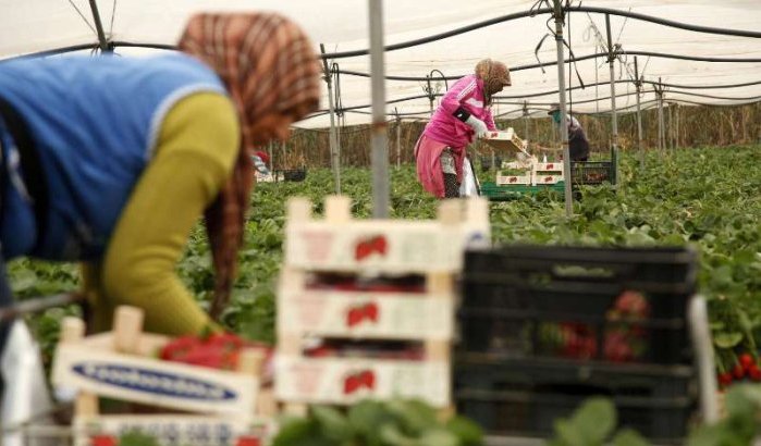 Spanje wil niet meer afhankelijk zijn van Marokkaanse seizoenarbeiders