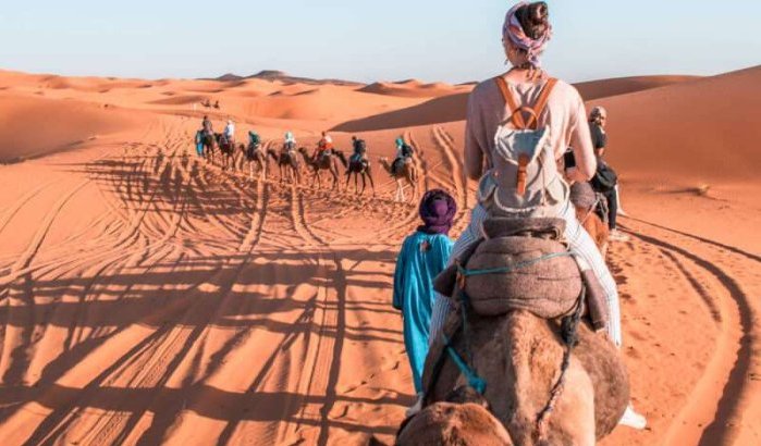 Amerikaanse valt van kameel in Marokko en klaagt TripAdvisor aan