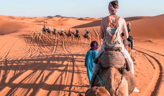 Amerikaanse valt van kameel in Marokko en klaagt TripAdvisor aan