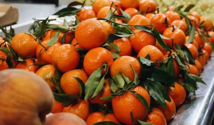 Nederland: chemische resten in Marokkaanse sinaasappelen