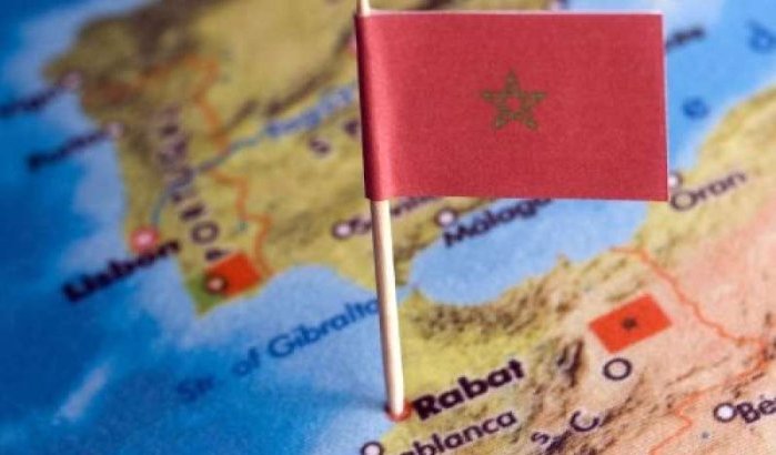 Nederlandse remigratieregeling is flop