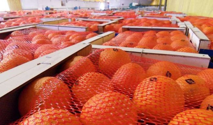 Holding investeert 200 miljoen in nieuwe fabriek in Berkane