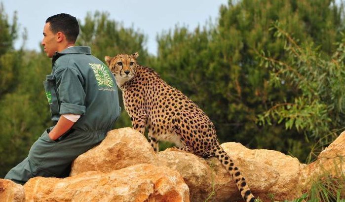 TripAdvisor-certificaat voor dierentuin Rabat