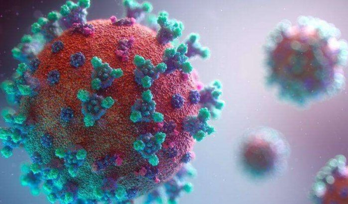 Marokkaans team ontcijfert genoom coronavirus