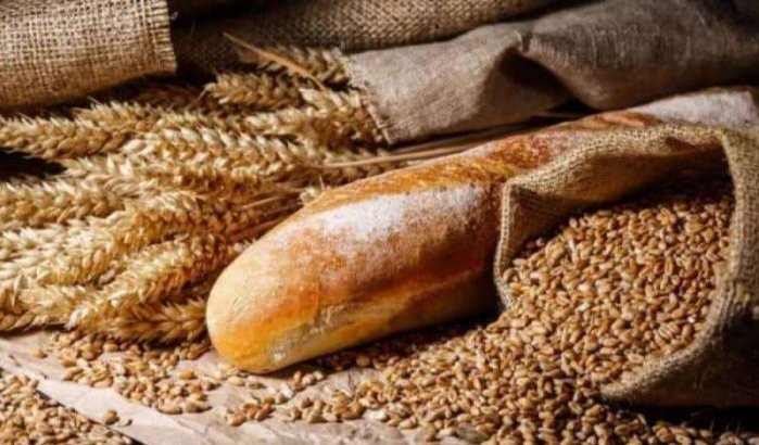 Tarwe Marokko: al 3 miljard dirham aan subsidies in 2022