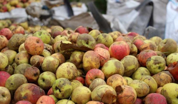 Tonnen fruit beschadigd door slecht weer in Marokko (video)