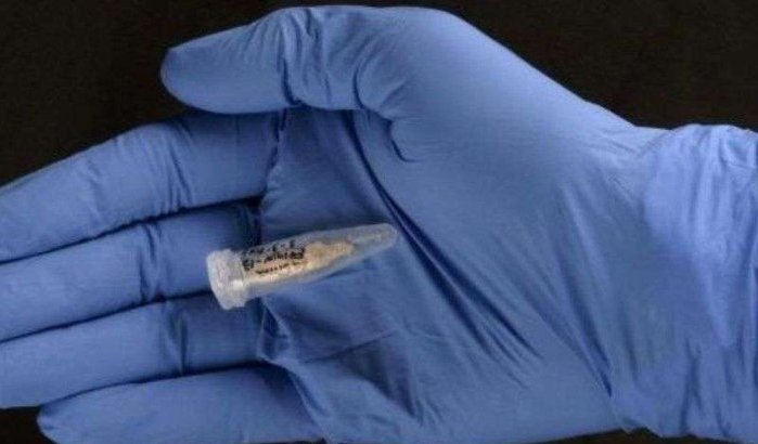 Oudste DNA-sporen van Afrika in Marokko ontdekt