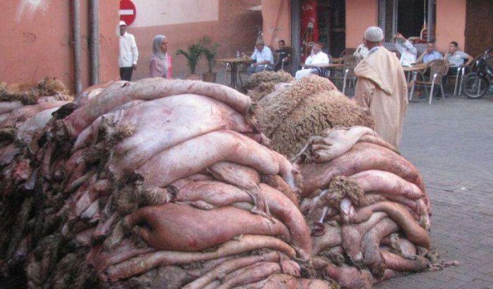 Schapenhuiden Eid ul-Adha zijn business op zich