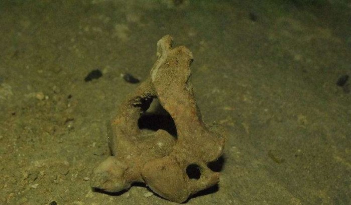 Menselijke resten gevonden in Chichaoua