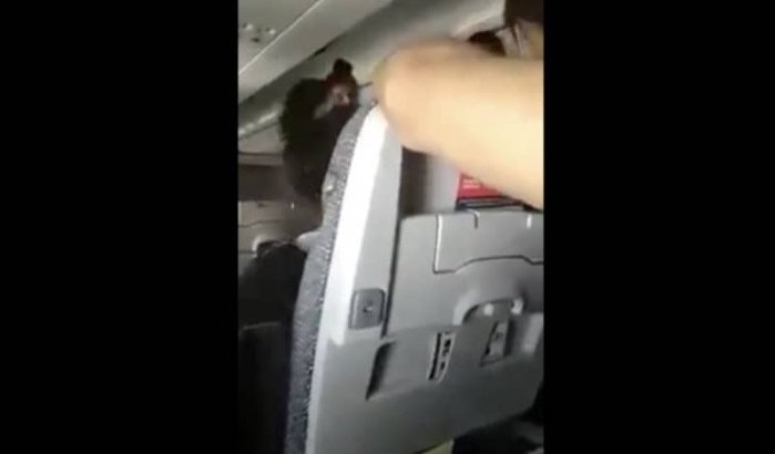 Vechtpartij tussen Marokkaanse passagiers op vlucht (video)