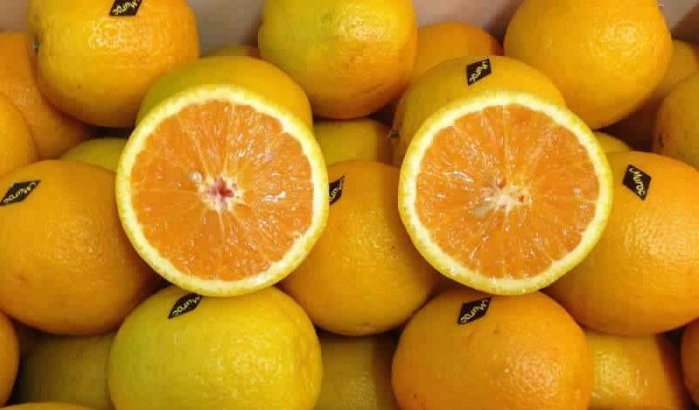 VS verbiedt opnieuw invoer Marokkaanse citrusvruchten