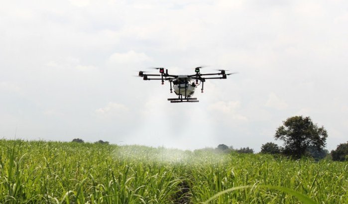 Marokko: drones voor toezicht op cannabisplantages