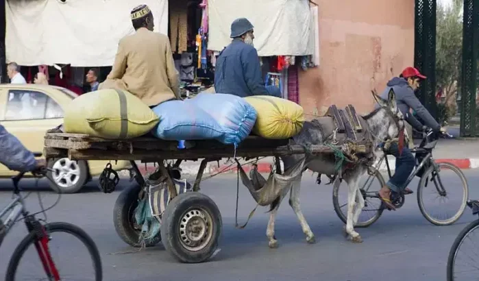 Casablanca zegt definitief vaarwel tegen paardenkarren
