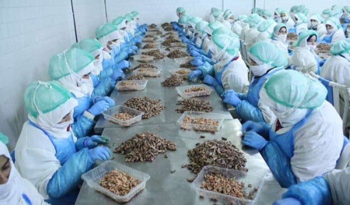 Fnideq: nieuw recyclage-eenheid levert 3000 banen op