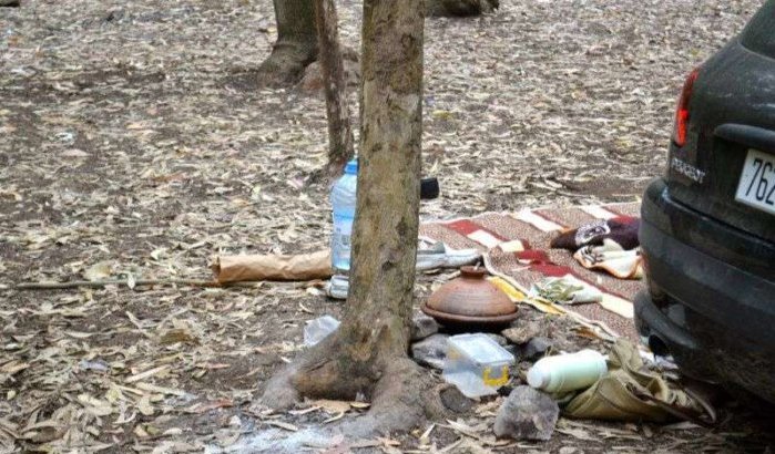 Bouskoura bos, geliefde plek bij picknickers (video)