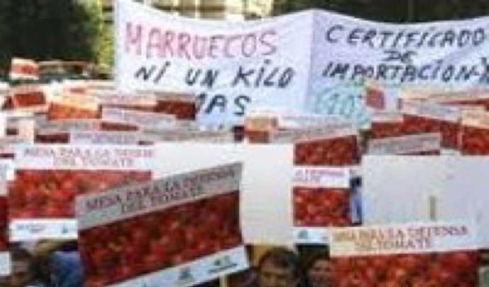 Marokko en Spanje ruziën om tomaat 