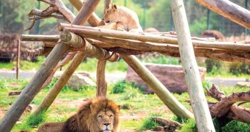 Dierentuin Ain Sebaa Casablanca