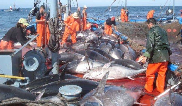 Marokko en Rusland sluiten visserijovereenkomst 