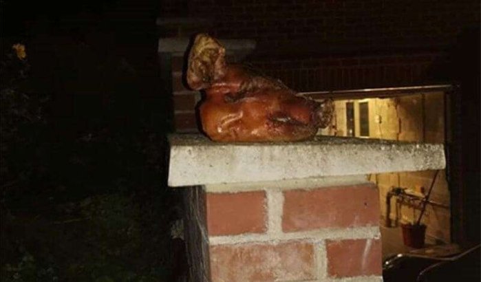 België: moslimgezin vindt varkenshoofd voor huis