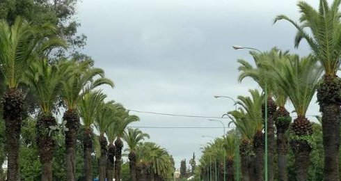 Benslimane