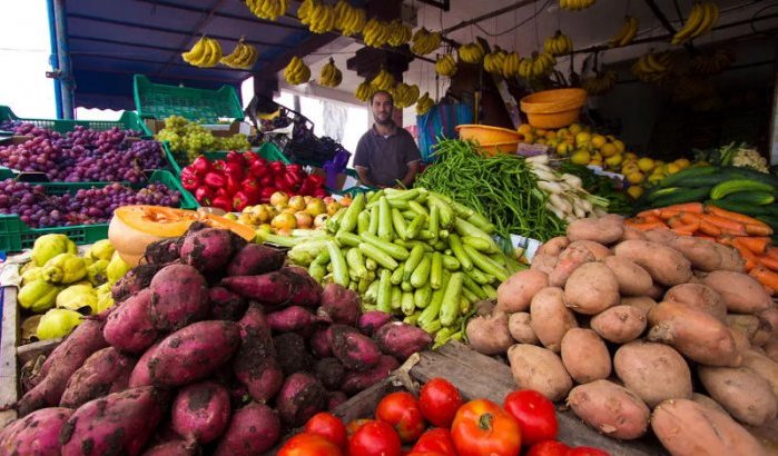 Exportstop leidt tot sterke daling groenteprijzen in Marokko
