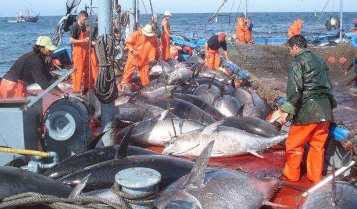 Europese boten moeten vanavond Marokkaanse wateren verlaten