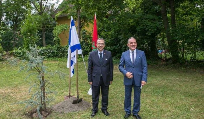 Marokko-Israël: ceder geplant om vrede te bezegelen in Wenen