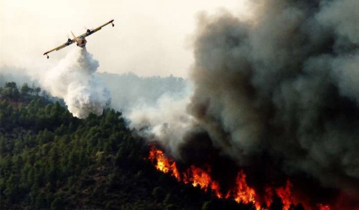 Grote bosbrand in Mdiq (video)