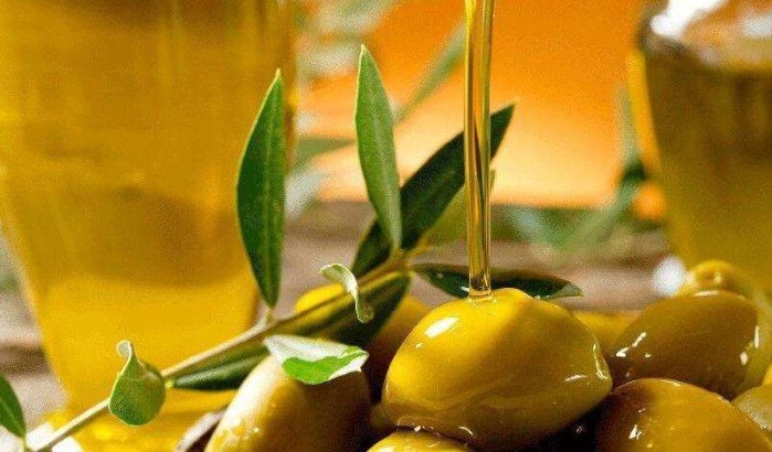 Marokko produceert 2 miljoen ton olijven 